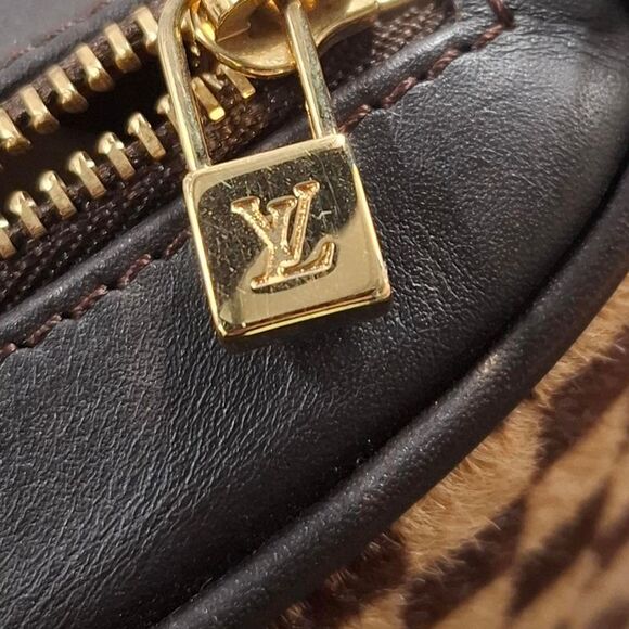 Louis Vuitton Limited Edition Damier Sauvage Tigre Bag in Brown Pony Hair - Picture 7 of 12